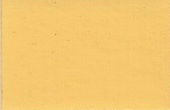 1981 Datsun Desert Yellow